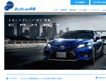 Tablet Screenshot of netzchubu.co.jp